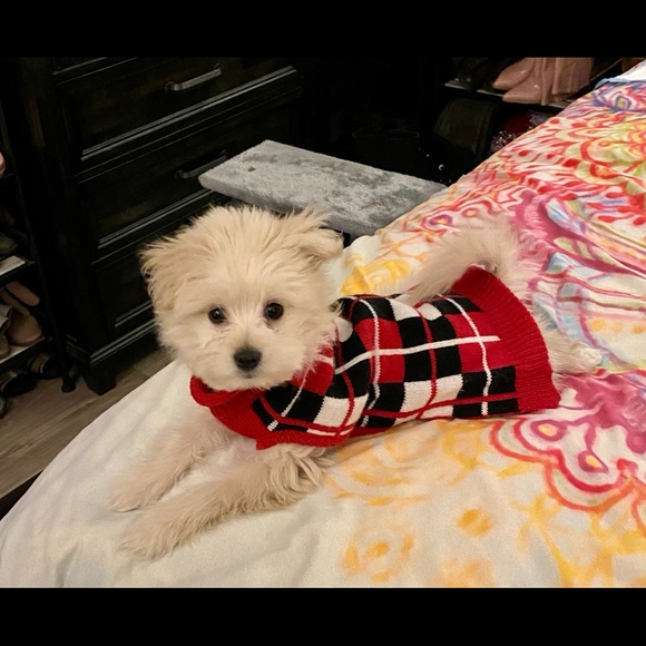 Meet your Posher, Katherine - Picture 7 of 7